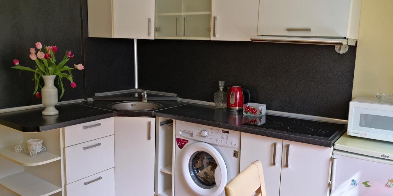 Vieno Kambario Butas Su Balkonu Appartement Kaunas Buitenkant foto